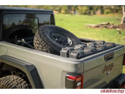 DV8 Offroad Adjustable In-Bed Tire Carrier - TCGL-03