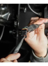 DV8 Offroad 4-Way 1-DTP to 4-DTP Plug Harness                                     - UNWH-02 - Image 6