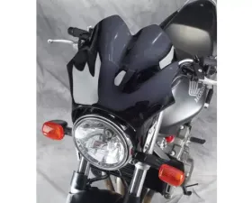 National Cycle Dark Tint F-Series F-18 Sport Fairing