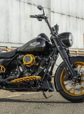 Arlen Ness Method Gold Clear Sucker Air Cleaner Kit Harley Davidson XL Sportster 1991+                                     - 18-178 - Image 3