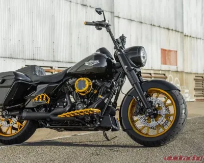 Arlen Ness Method Gold Clear Sucker Air Cleaner Kit Harley Davidson XL Sportster 1991+ - 18-178