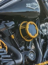 Arlen Ness Method Gold Clear Sucker Air Cleaner Kit Harley Davidson XL Sportster 1991+                                     - 18-178 - Image 4