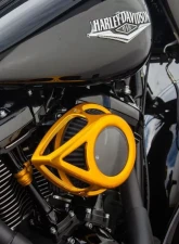 Arlen Ness Clear Tear Sucker Gold Air Cleaner Kit Harley Davidson Twin Cam 2000-2017                                     - 18-912 - Image 4