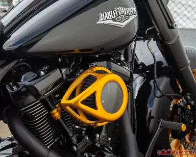 Arlen Ness Clear Tear Sucker Gold Air Cleaner Kit Harley Davidson Twin Cam 2000-2017 - 18-912