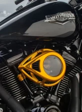Arlen Ness Clear Tear Sucker Gold Air Cleaner Kit Harley Davidson Twin Cam 2000-2017                                     - 18-912 - Image 5