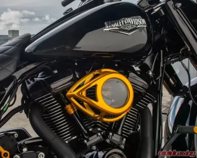 Arlen Ness Clear Tear Sucker Gold Air Cleaner Kit Harley Davidson Twin Cam 2000-2017 - 18-912