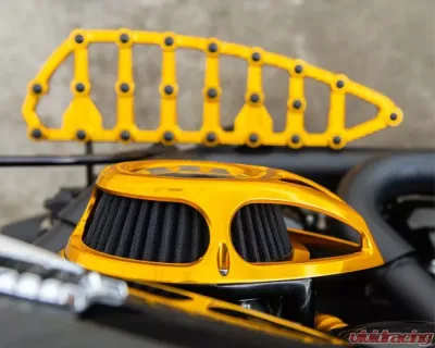 Arlen Ness Clear Tear Sucker Gold Air Cleaner Kit Harley Davidson Twin Cam 2000-2017 - 18-912
