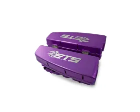 Extreme Turbo Systems Purple Billet Intake Manifold Lamborghini Gallardo | Audi R8 2008-2015