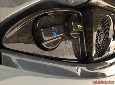 DB Carbon Oil & Cooling Water Lid Porsche 991.2 Targa 4 | 4S | GTS 2016-2019 - 1459TA2-0001