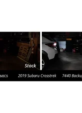 Diode Dynamics 7443 XPR LED Cool White (SINGLE)                                     - DD0386S - Image 2