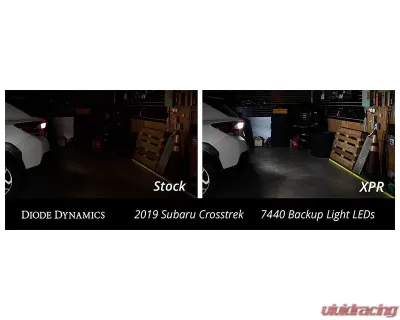 Diode Dynamics 7443 XPR LED Cool White (SINGLE) - DD0386S