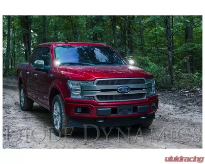 Diode Dynamics Stage Series 2" LED Ditch Light Kit Pro White Combo Ford F-150  | Raptor 2015-2020 - DD6573