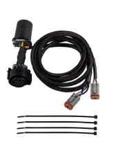 Diode Dynamics Stage Series 7-Pin Dual Output Trailer Hitch Wiring Harness Ford Bronco 2021-2022                                     - DD4135 - Image 3