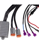 Diode Dynamics Add-On DT 4-Pin Foglight Wiring Harness                                     - DD4110 - Image 2