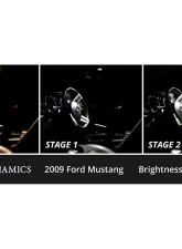 Diode Dynamics Cool White Stage 1 Interior LED Kit Ford Mustang 2005-2009                                     - DD0515 - Image 3