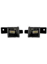 Diode Dynamics LED Door Lights Set Tesla Model 3 | S | X | Y 2012-2024                                     - FL0060 - Image 3