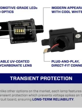 Diode Dynamics LED Door Lights Set Tesla Model 3 | S | X | Y 2012-2024                                     - FL0060 - Image 3