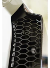 VF Engineering LMS Carbon Fiber Side Blades Audi R8 2017+                                     - VFC.AUD.R83.BLD - Image 9