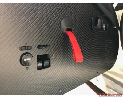 EVS Tuning Dry Carbon Door Card Honda S2000 AP1/2 - EVS-AP-CF-DC