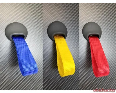 EVS Tuning Dry Carbon Door Card Honda S2000 AP1/2 - EVS-AP-CF-DC