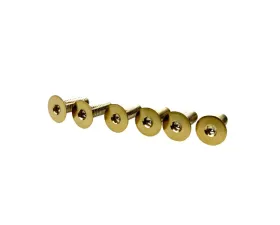 EVS Tuning Titanium Steering Wheel Screw Set Gold