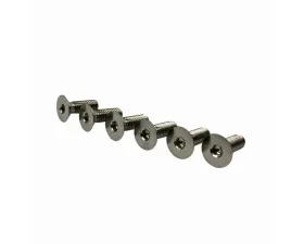 EVS Tuning Titanium Steering Wheel Screw Set Raw