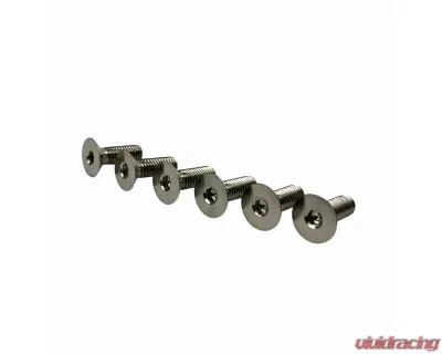 EVS Tuning Titanium Steering Wheel Screw Set Raw - EVS-SWS-RAW