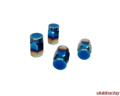 EVS Tuning Burnt Titanium Valve Stem Cap Set 4 Pieces - EVS-TI-VLVCAP