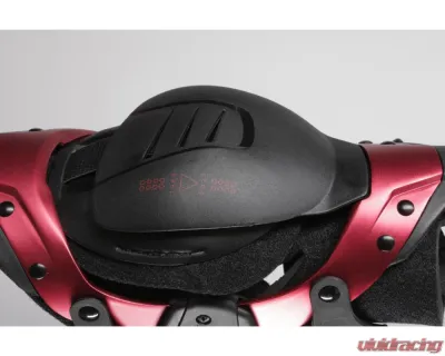 EVS 40th Anniversary Axis Sport Knee Brace - Pair - AXISS-BK40-SP