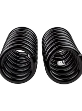 Old Man EMU OME Coil Spring Front                                     - 2978 - Image 5