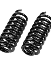 Old Man EMU OME Coil Spring Rear Jeep Grand Cherokee Rear 2011-2014                                     - 3060 - Image 2