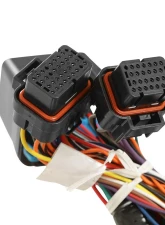 Holley EFI Stock Coils 7.3 Liter Godzilla Main Harness                                     - 558-140 - Image 2