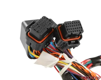 Holley EFI Stock Coils 7.3 Liter Godzilla Main Harness - 558-140