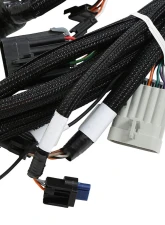 Holley EFI Stock Coils 7.3 Liter Godzilla Main Harness                                     - 558-140 - Image 3