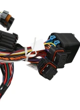 Holley EFI Stock Coils 7.3 Liter Godzilla Main Harness                                     - 558-140 - Image 4