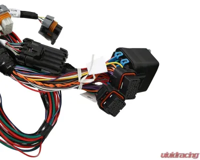 Holley EFI Stock Coils 7.3 Liter Godzilla Main Harness - 558-140