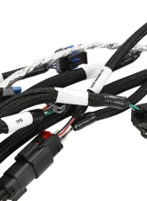 Holley EFI Stock Coils 7.3 Liter Godzilla Main Harness                                     - 558-140 - Image 5