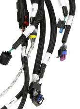 Holley EFI Stock Coils 7.3 Liter Godzilla Main Harness                                     - 558-140 - Image 6