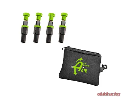 Overland Vehicle System 4 Piece PSI 10-30lbs Adjustable Tire Deflator Kit & Storage Bag - 97-9903
