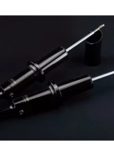 Dobinsons Front IMS Struts Toyota Sequoia | Tundra 2007-2021                                     - IMS59-60710 - Image 2