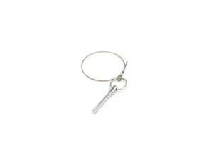 Dobinsons Swing Out Latch Replacement Wire Pin