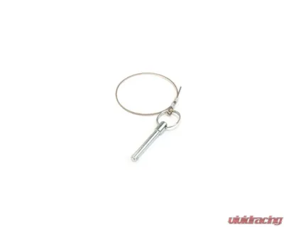 Dobinsons Swing Out Latch Replacement Wire Pin - LTPN
