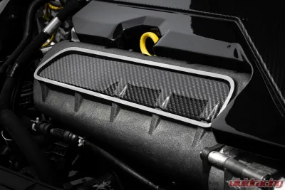 APR Intake Manifold Cover Plate - 2.5T - Carbon Fiber - MS100251 - MS100251