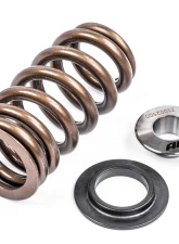 APR Valve Spring Kit (1 Set)                                     - MS100258 - Image 8