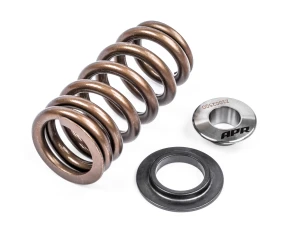 APR Valve Spring Kit (1 Set) - MS100258 - Image 3