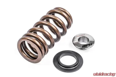 APR Valve Spring Kit (1 Set) - MS100258