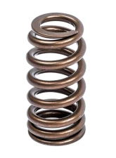 APR Valve Spring Kit (1 Set)                                     - MS100258 - Image 2