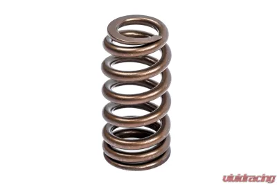 APR Valve Spring Kit (1 Set) - MS100258