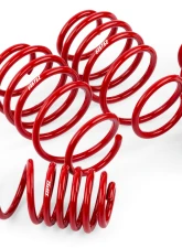 APR Roll Control Lowering Springs Volkswagen MK7 | MK7.5 GTI 2015-2021                                     - SUS00014 - Image 9