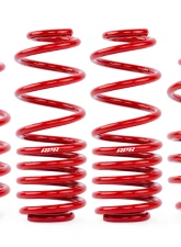 APR Roll Control Lowering Springs Volkswagen MK7 | MK7.5 GTI 2015-2021                                     - SUS00014 - Image 2